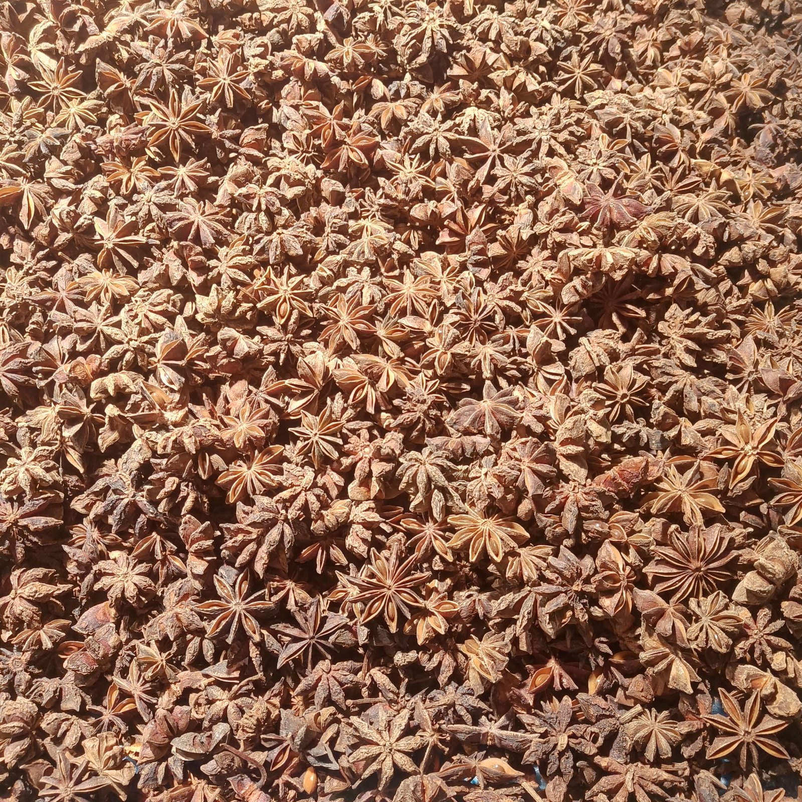 Hoa hồi khô tám cánh, màu nâu đỏ, trải thành lớp