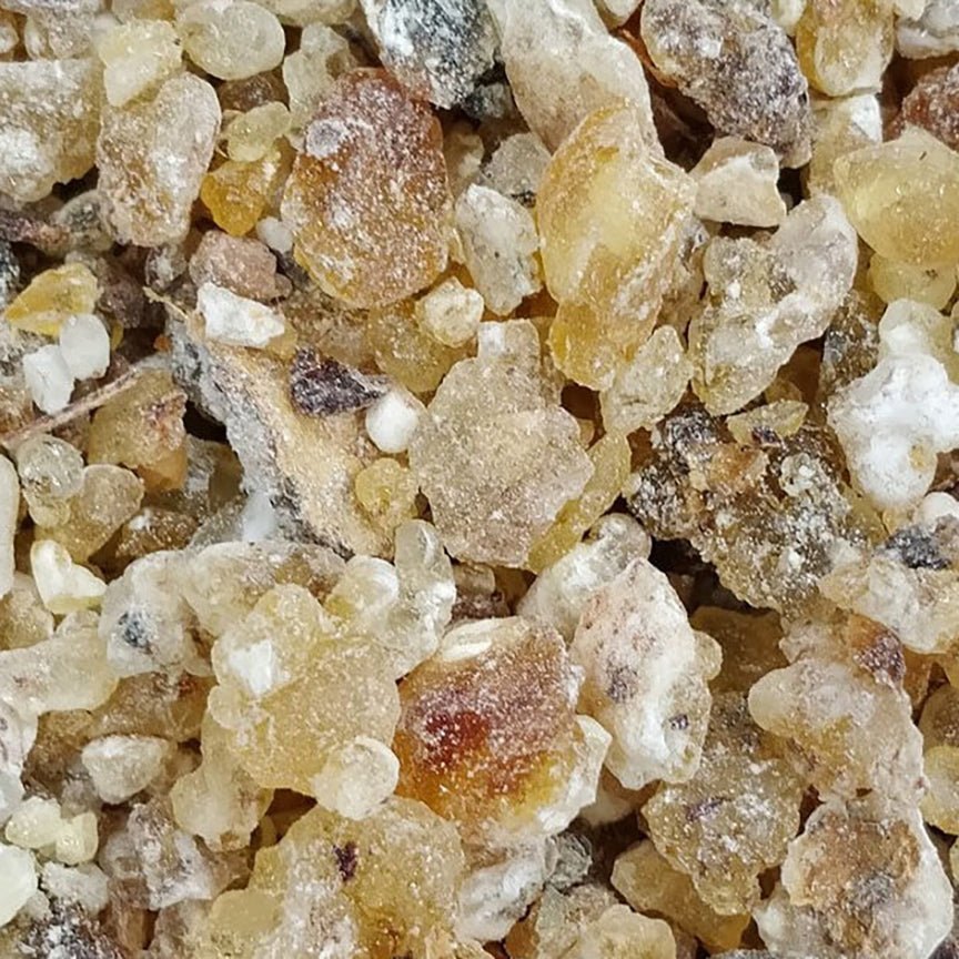 Hạt nhựa nhũ hương frereana